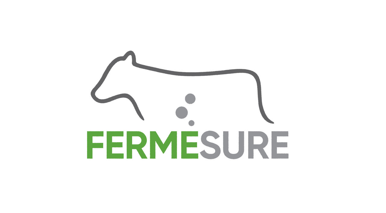 Corn Silage Management