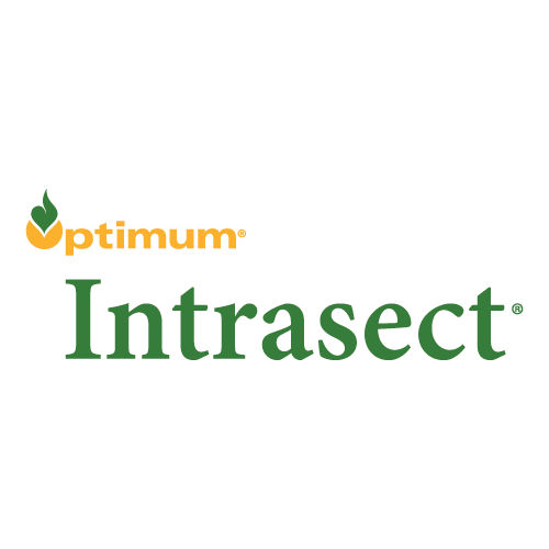 Logo do Intrasect