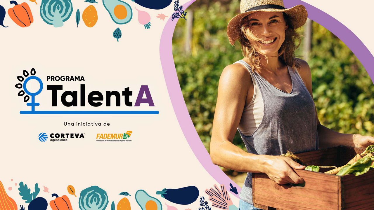 Lanzamiento 3ª Edición Programa TalentA