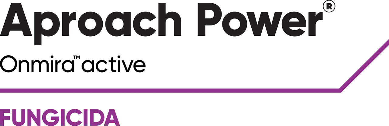 MX_Aproach_Power_Onmira_active_mkt_txt_es_rgb_download.