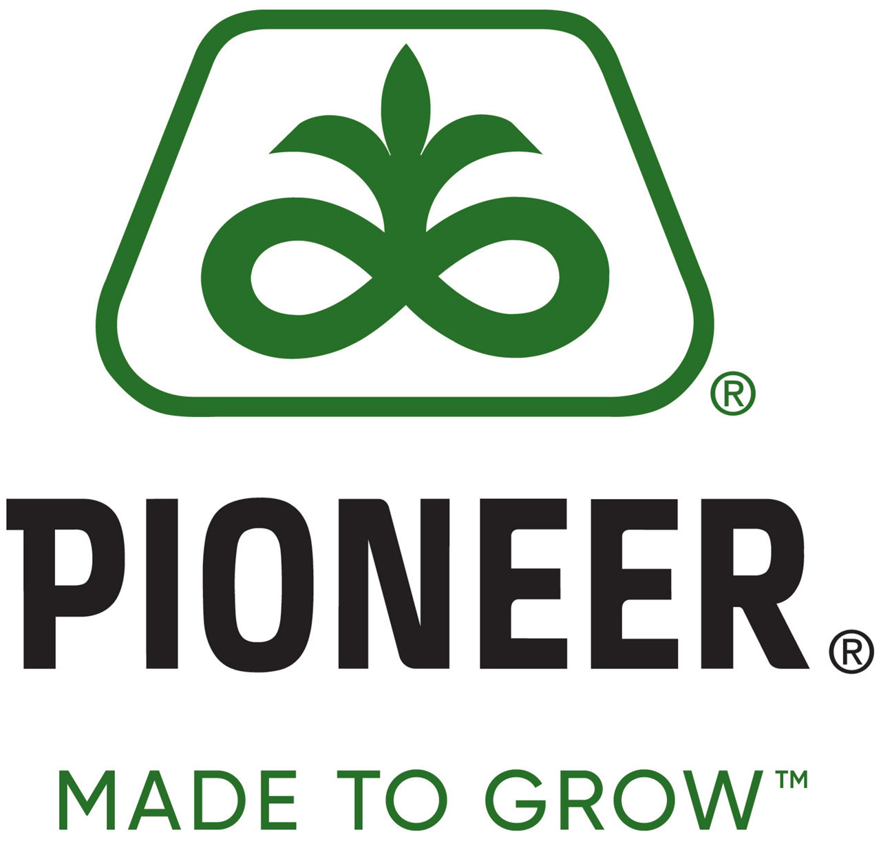 Pioneer® logo