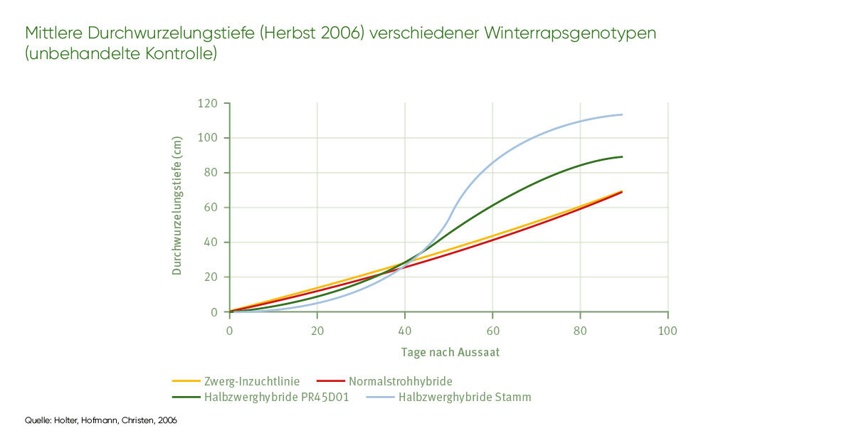 Maximus-Hybriden Stickstoffeffizienz 