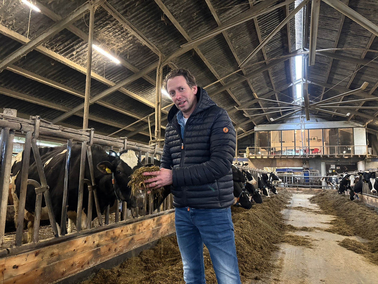 Proef Groeikracht I