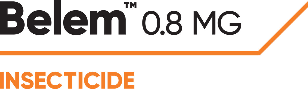 Belem_logo
