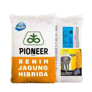 P27® Gajah