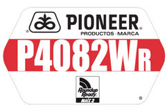 P4082WR