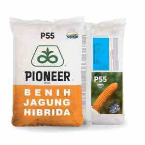 P55 MEMP55ONA