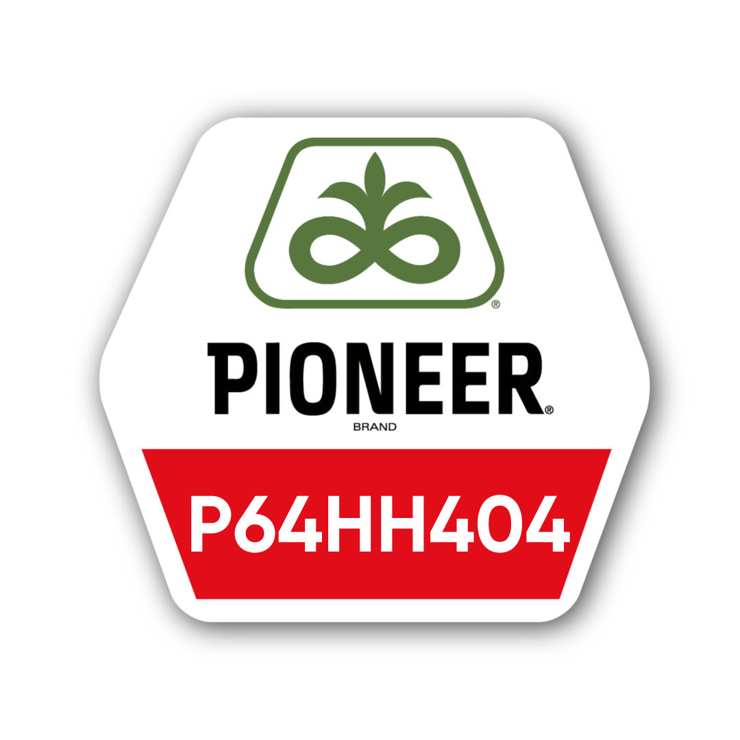 Соняшник Pioneer