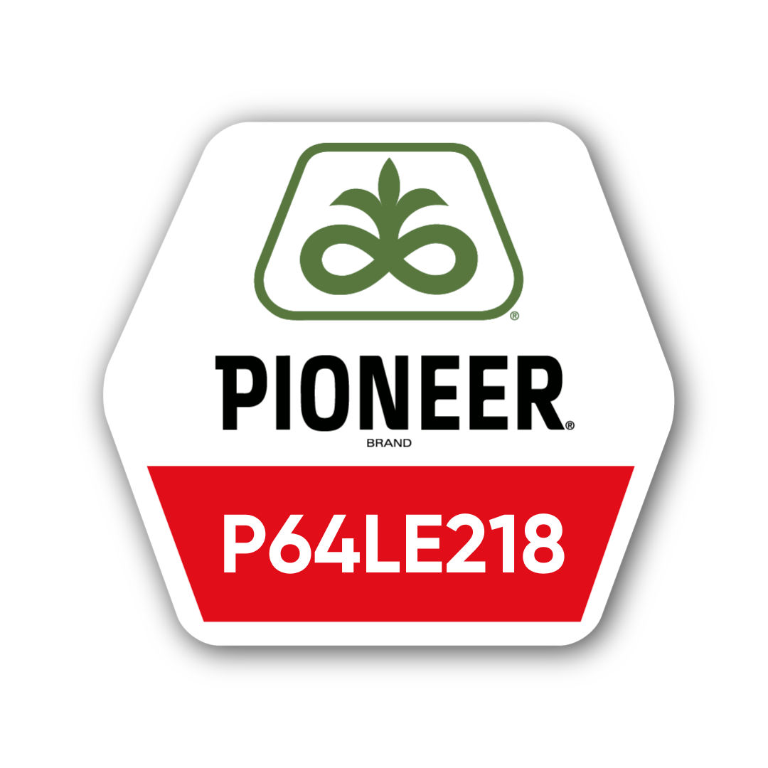 Соняшник Pioneer