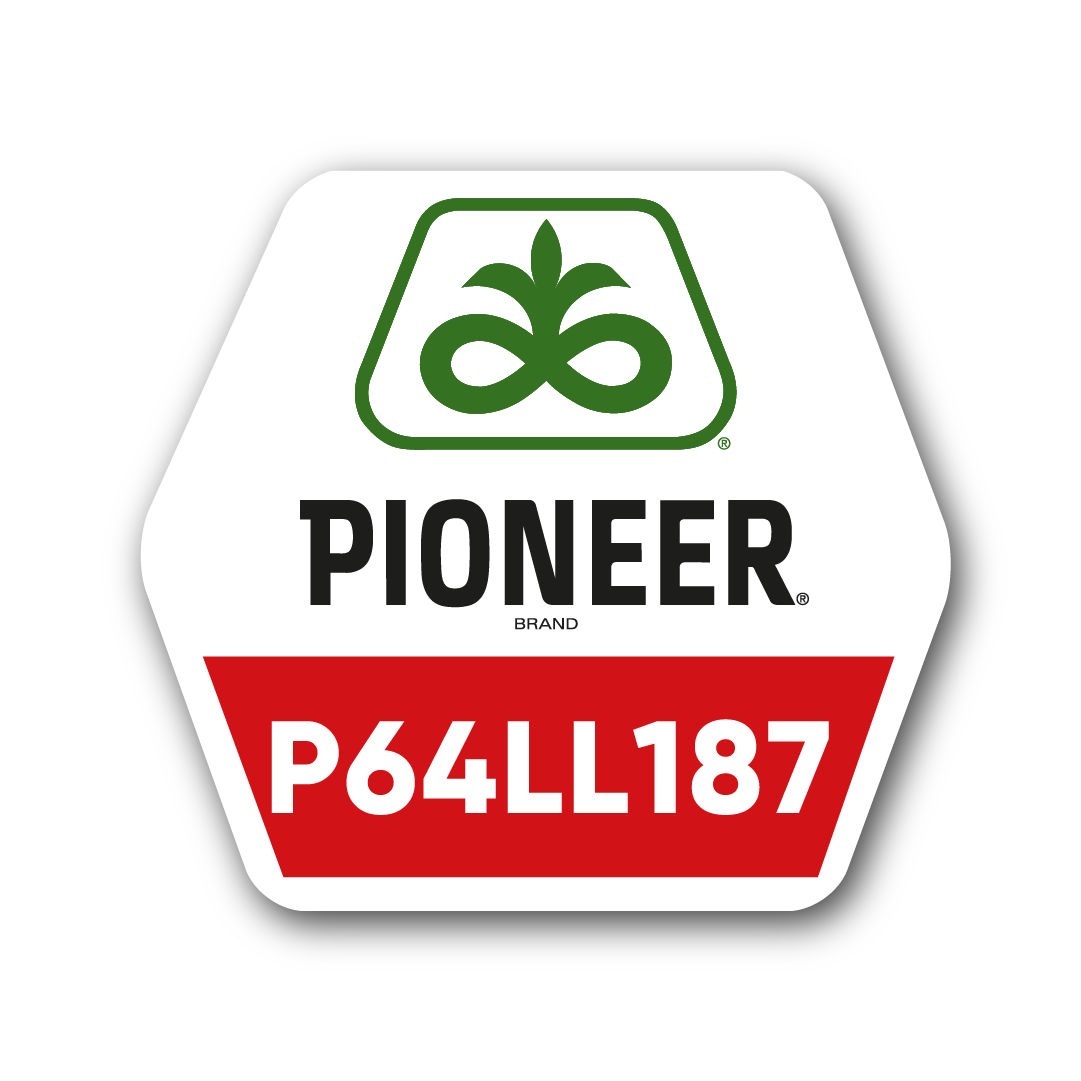 Pioneer logo