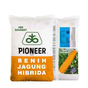 P32 Singa
