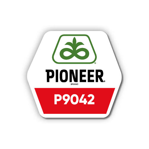 UA-P9074-logo.png