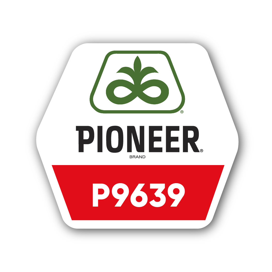 Pioneer