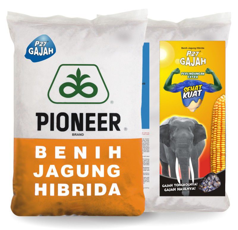 Pioneer_P27_Gajah