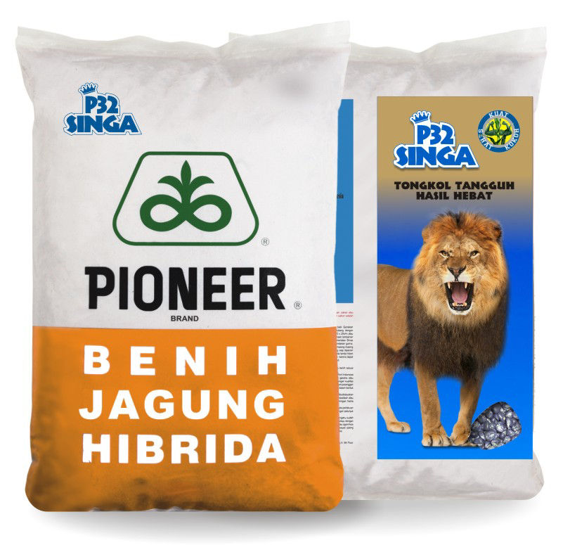 Pioneer_P32_Singa
