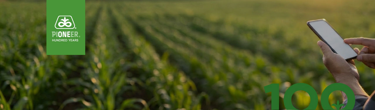 Made To Grow Home Banner Desktop