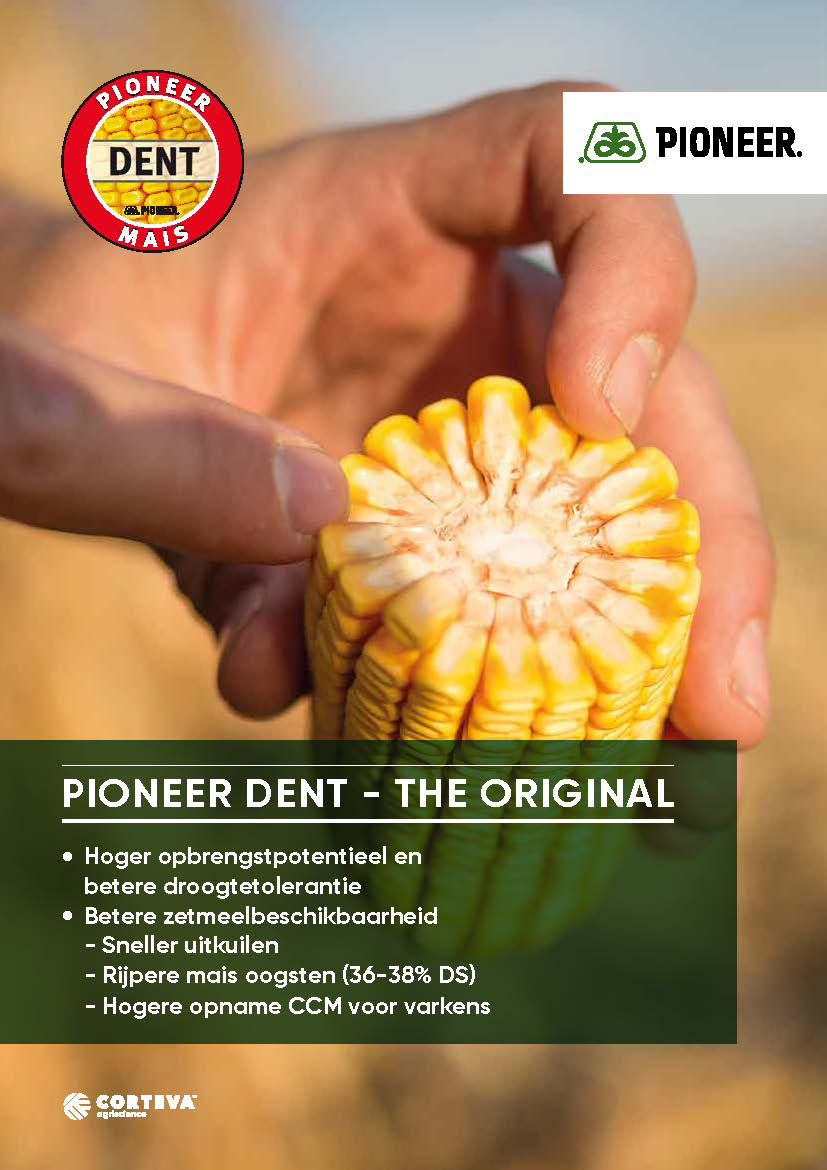 Pioneer Dent brochure 