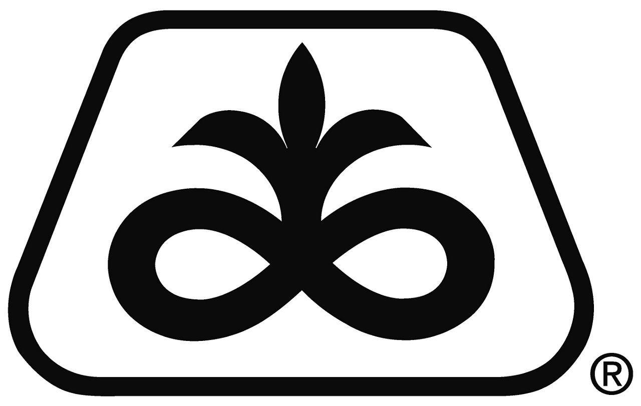 Pioneer