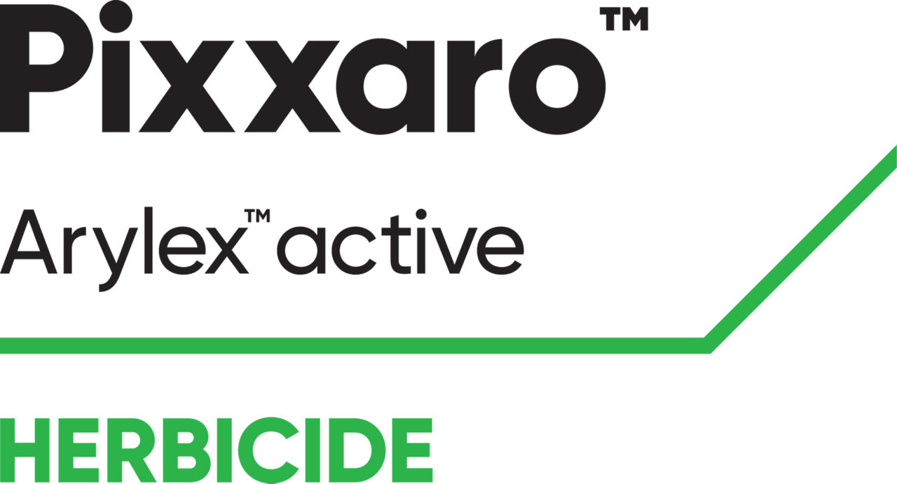 Pixxaro logo