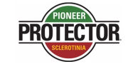 Protector logo