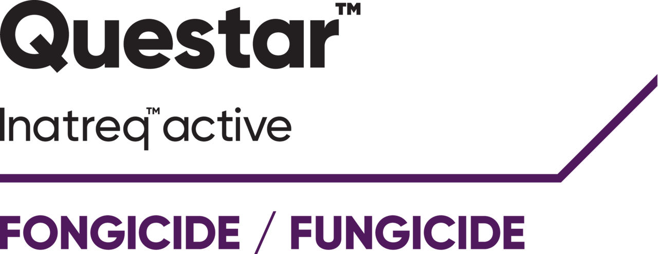 Questar logo BEFR
