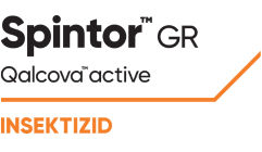 Spintor™ GR