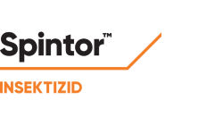 Spintor