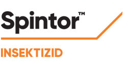 Spintor