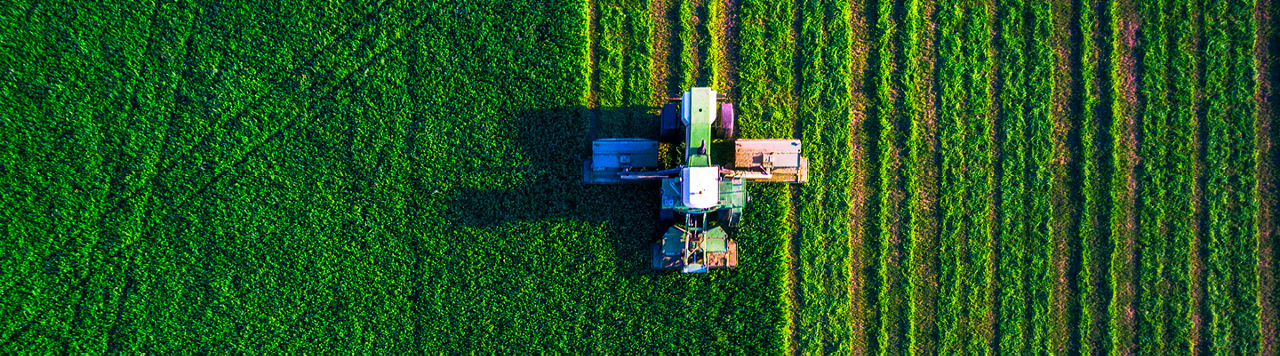 greenfield_1440x560