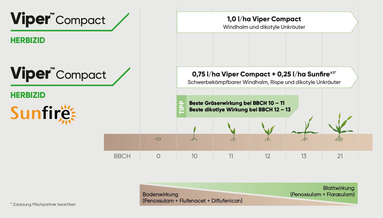 Viper_Compact