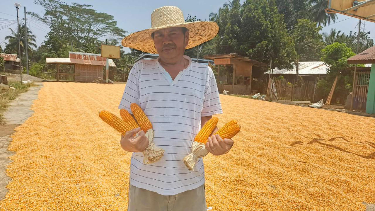 farmer holding corn