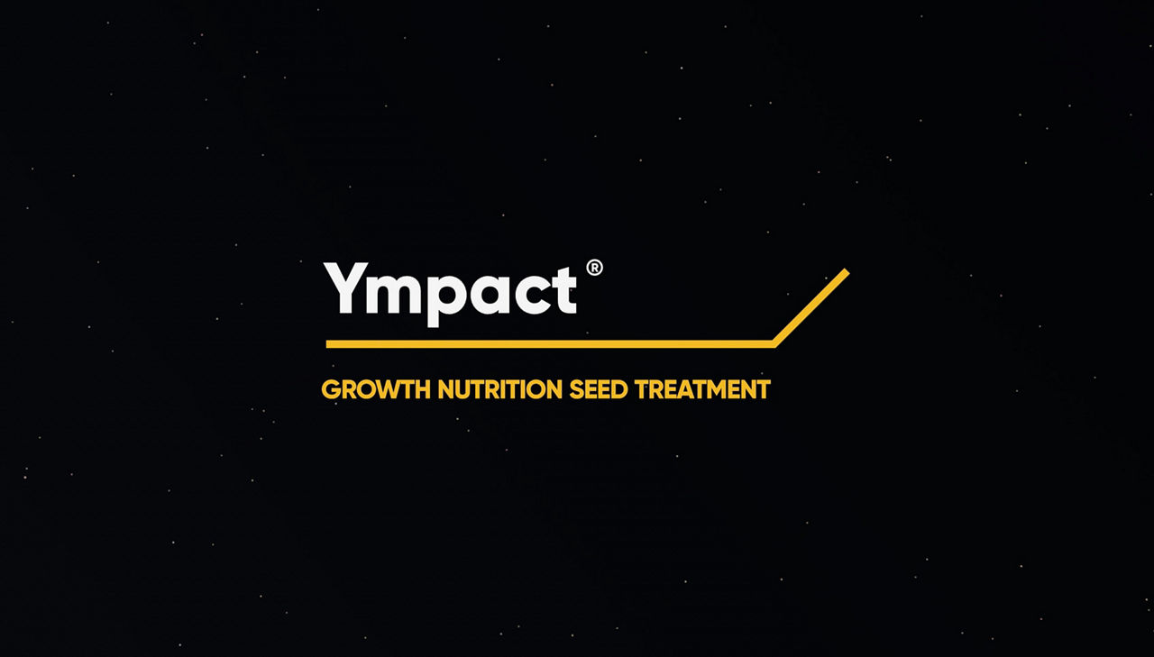 Ympact Video