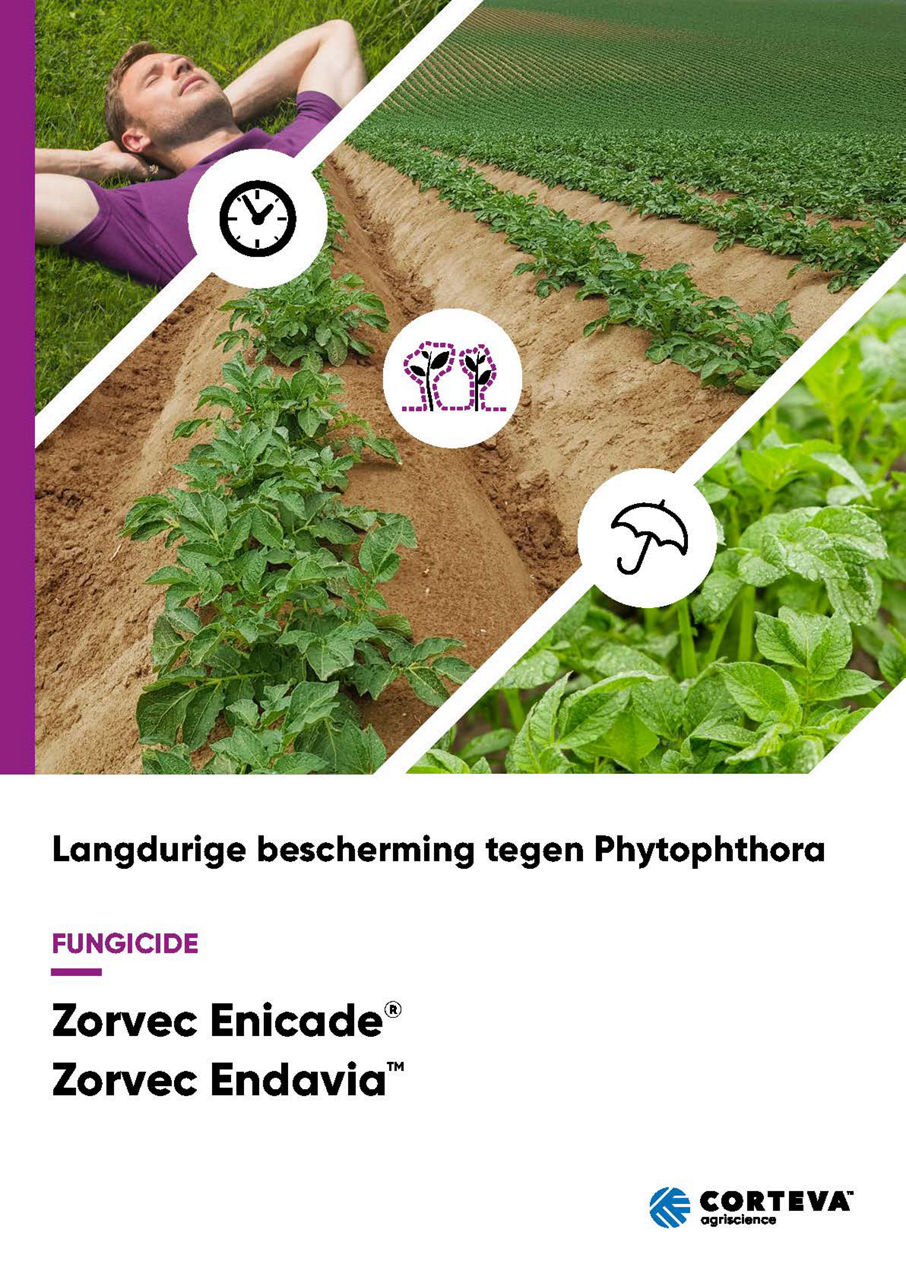 Langdurige bescherming tegen Phytophthora met Zorvec