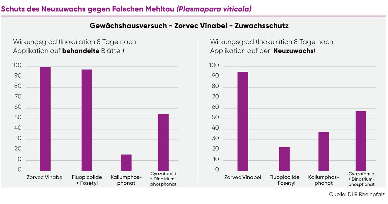 Zorvec_Vinabel_Versuch_1_final.