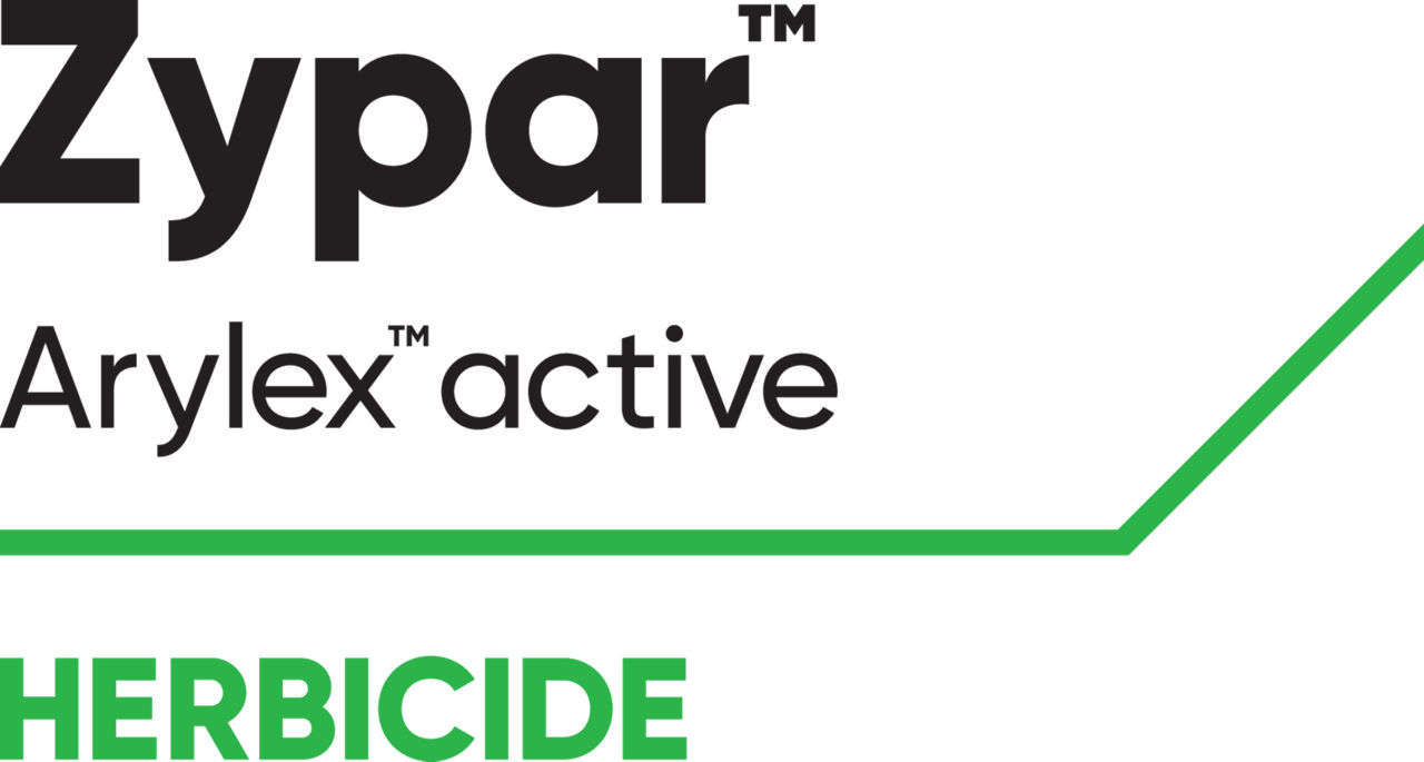 Zypar logo BEL