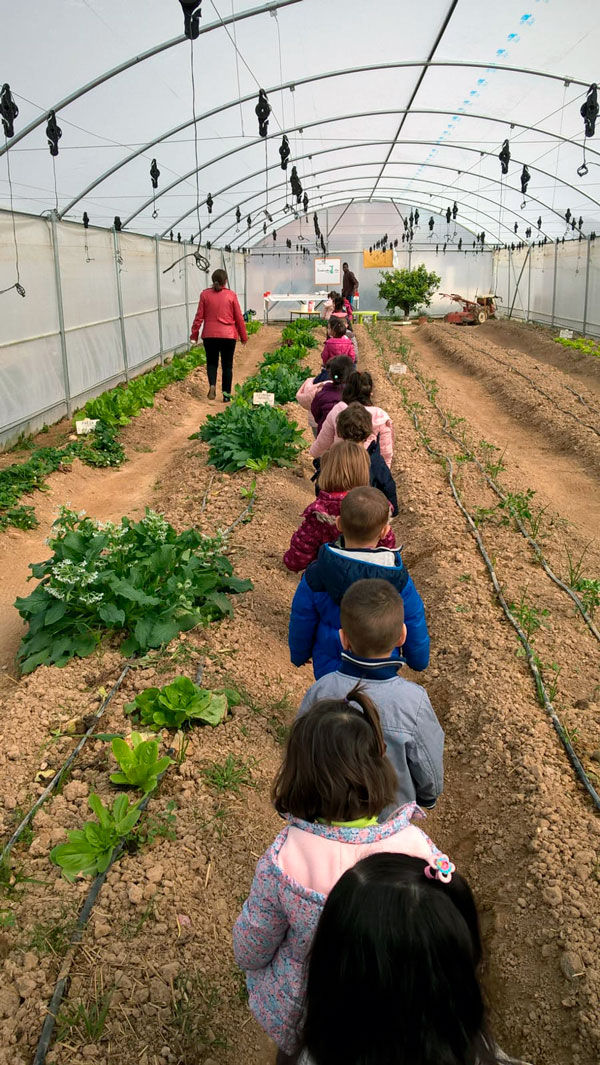 Niños en fila visitando un huerto
