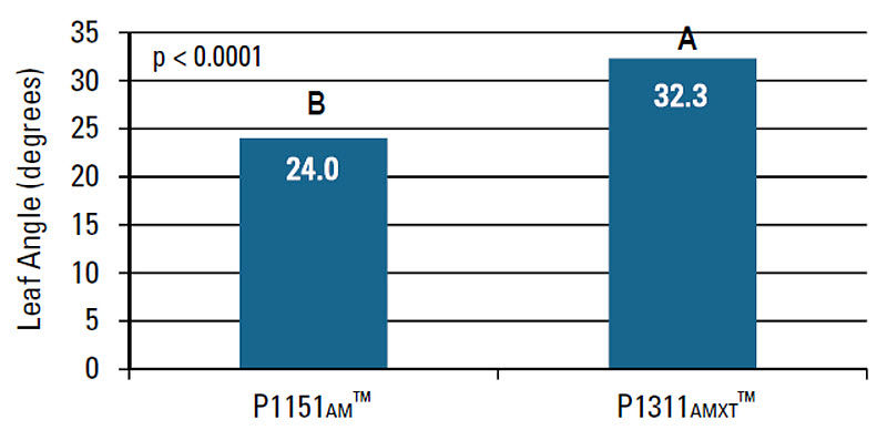 Average angle of the 10th leaf (degrees from vertical) by corn product.