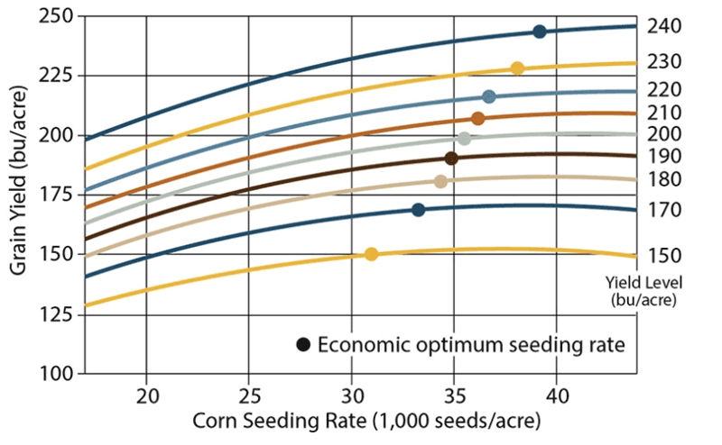 Corn yield response to population and optimum economic