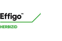 Effigo™ Nachauflaufherbizid Mais