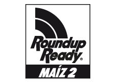 logo4