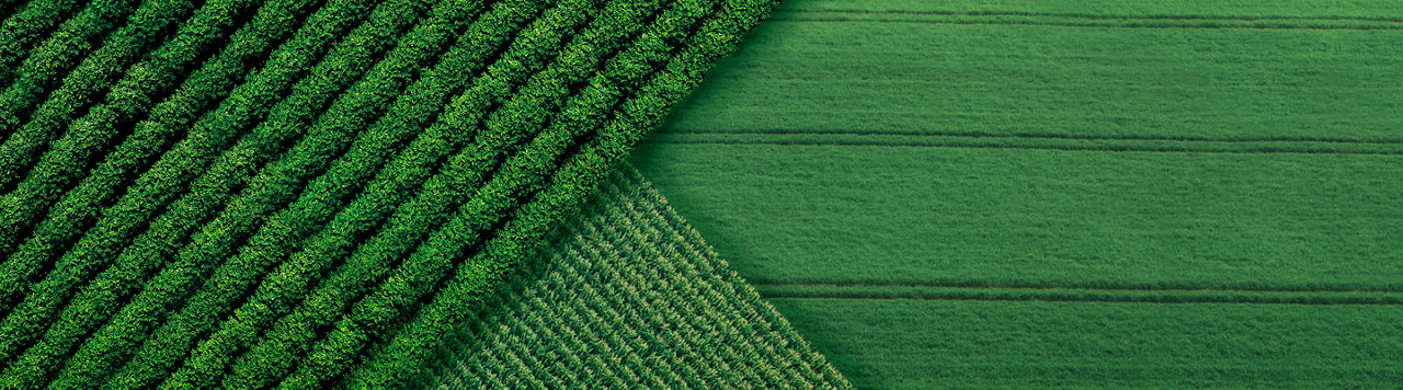 greenfield_1440x400