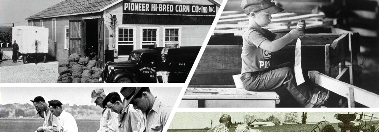 Pioneer, créé pour votre succès