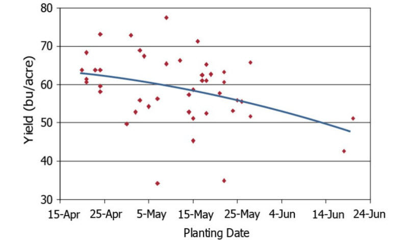 soybean yield response to planting date