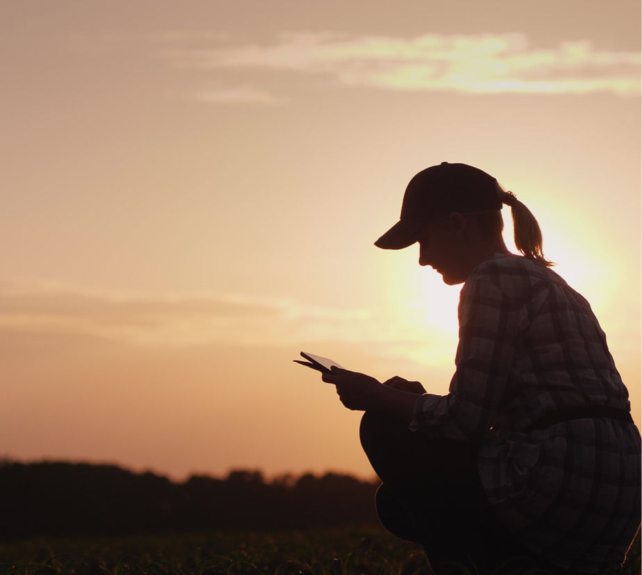 Partner in field