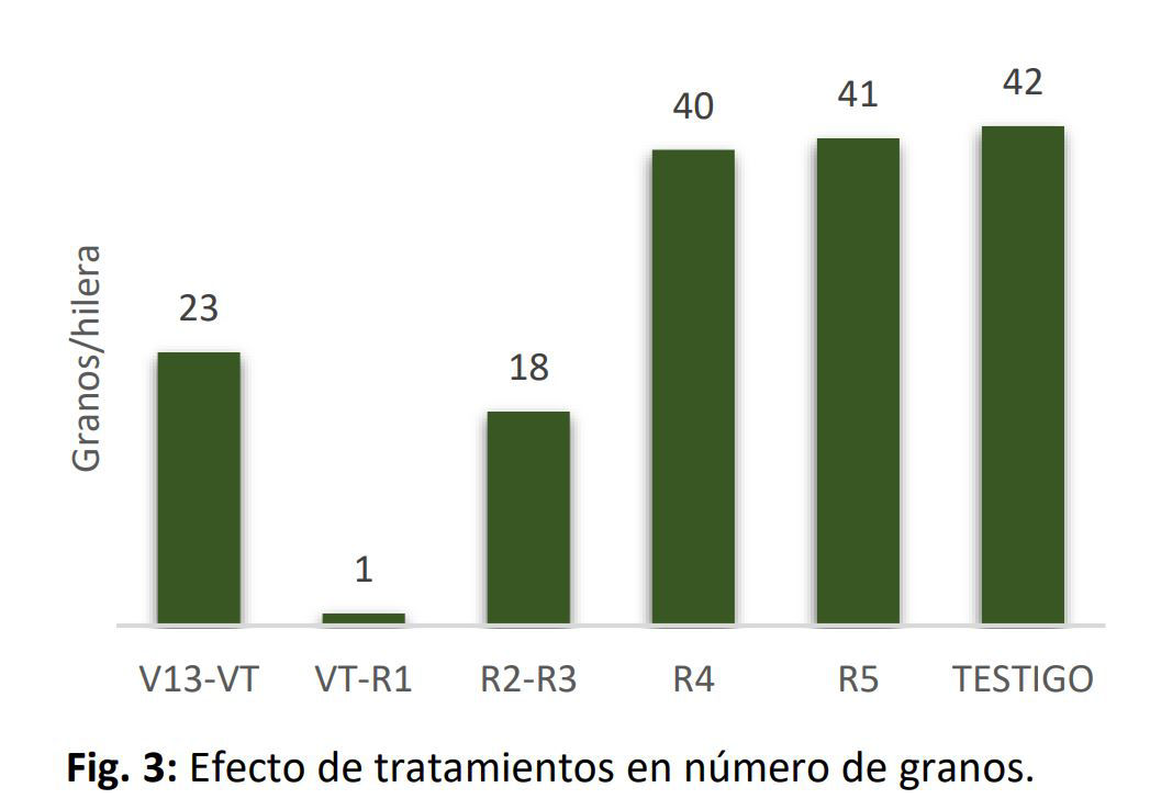 numero_de_granos