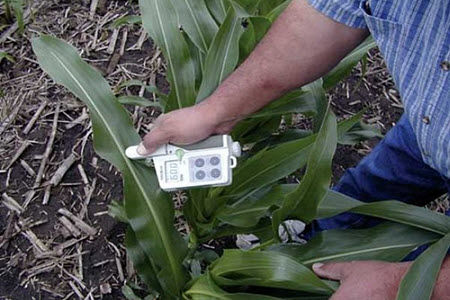 Chlorophyll meter 