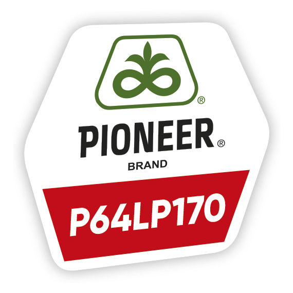 logo-produs