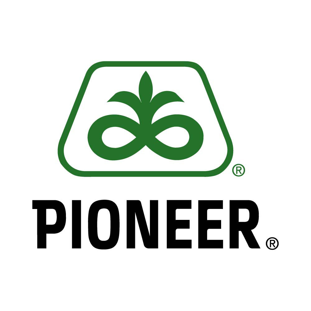 znak pioneer
