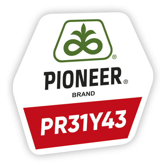 logo-produs