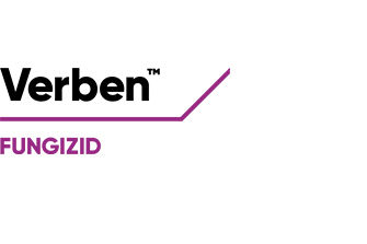 Verben Logo